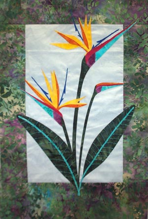 Bird of Paradise Photo